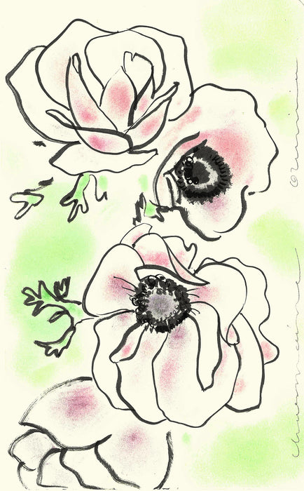 Anemone Original Drawing