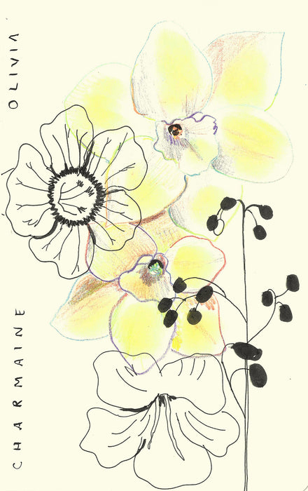 Daffodils and Flax Lily Original Drawing