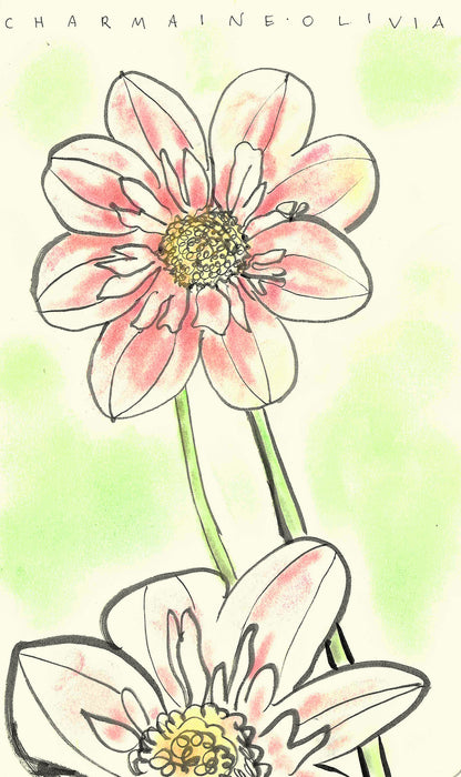 Dahlia Original Drawing