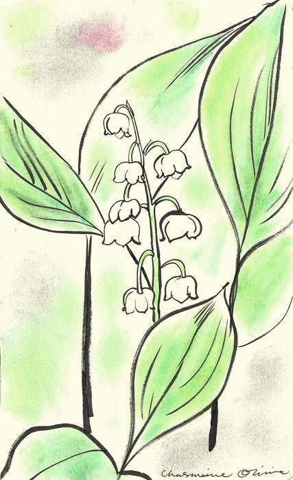 Lily of the Valley Original Drawing