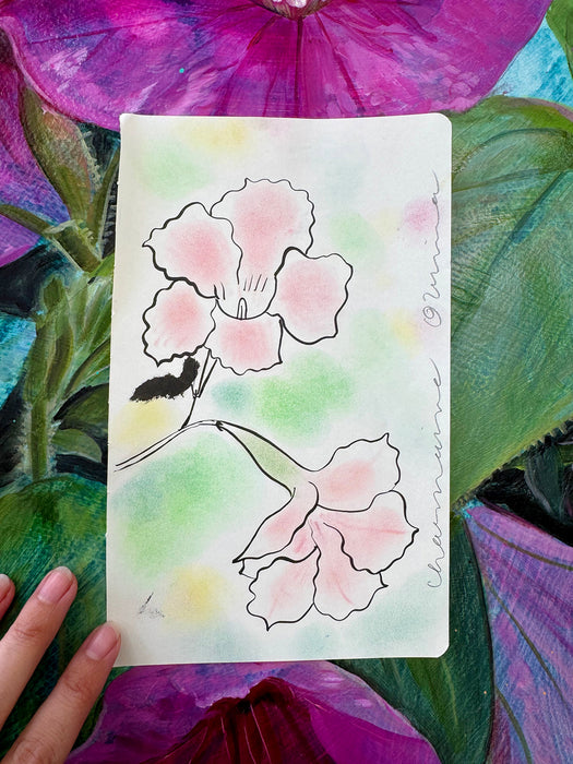 Mandevilla Original Drawing