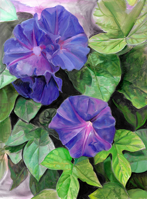 Morning Glories Original Oil Painting