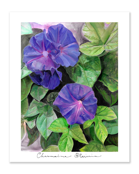 Morning Glory 16 x 20in Print