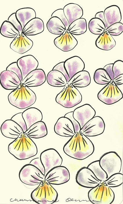 Pansies 1 Original Drawing