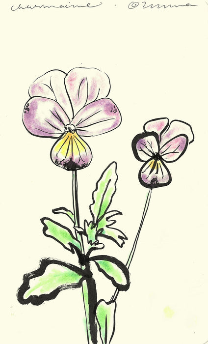 Pansies 2 Original Drawing