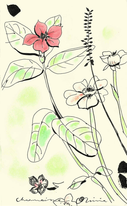 Periwinkle Original Drawing