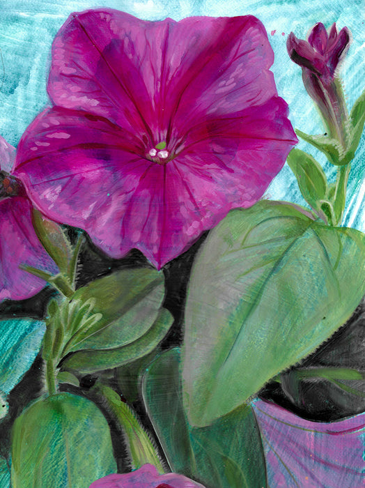 Pink Petunias Original Oil Painting