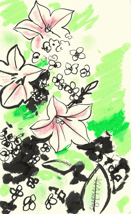 Petunias Original Drawing