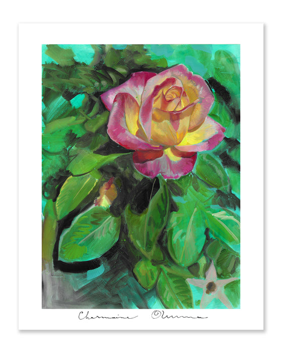 Pink Lemonade Rose 16x20 Print