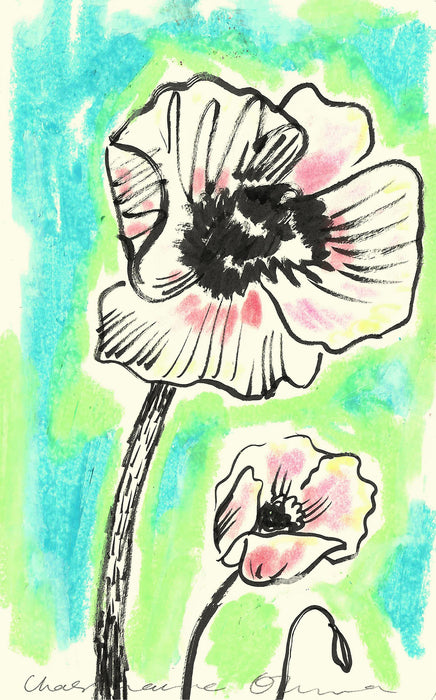 Poppies Original Drawing