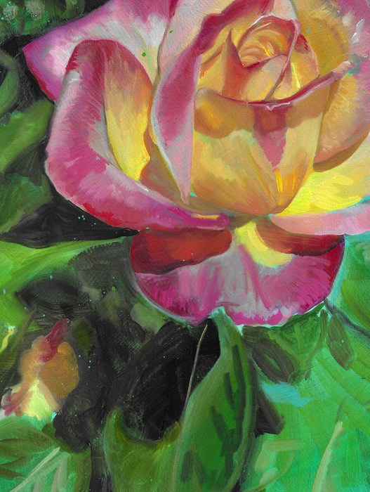Pink Lemonade Rose 16x20 Print