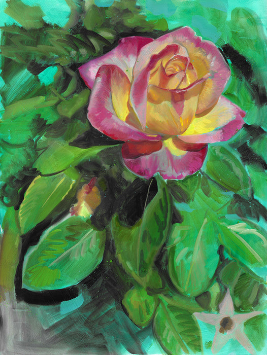 Pink Rose Original Oil Painting