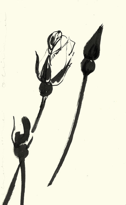 Rosebuds Original Drawing