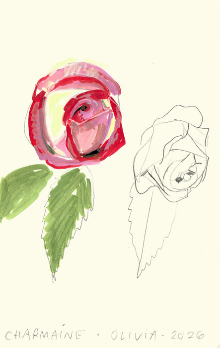 Pink Rose 3 Original Drawing