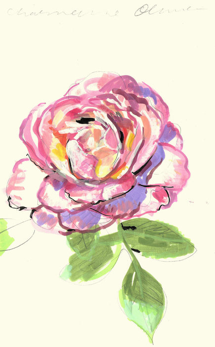 Pink Rose 2 Original Drawing